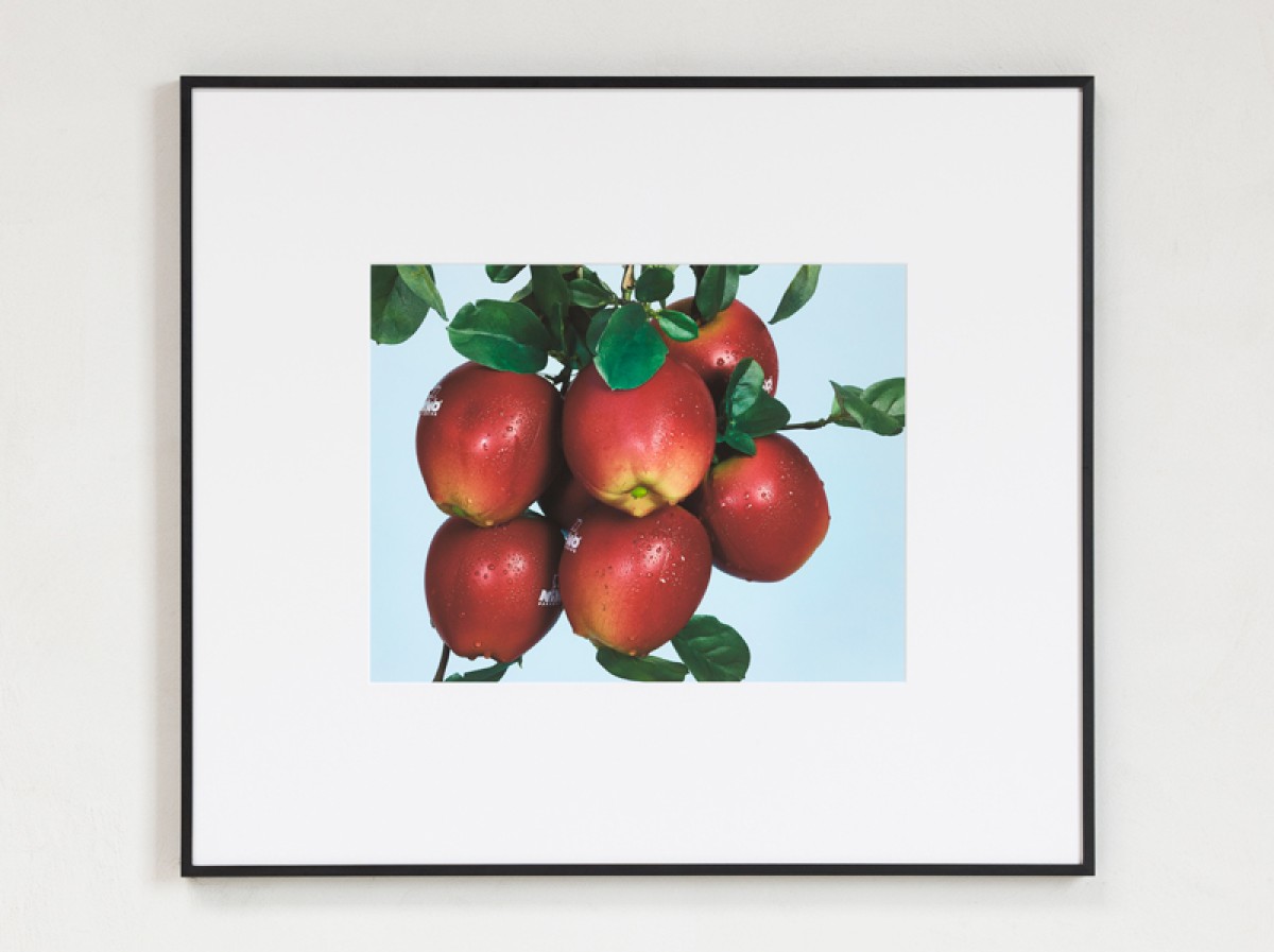 Freek Wambacq, "Rain - Meinl Nino 596 Botany Shaker Apple, 2013" - Archival pigment print on cotton rag paper, 43 x 55 cm (framed: 82,4 x 94 cm)