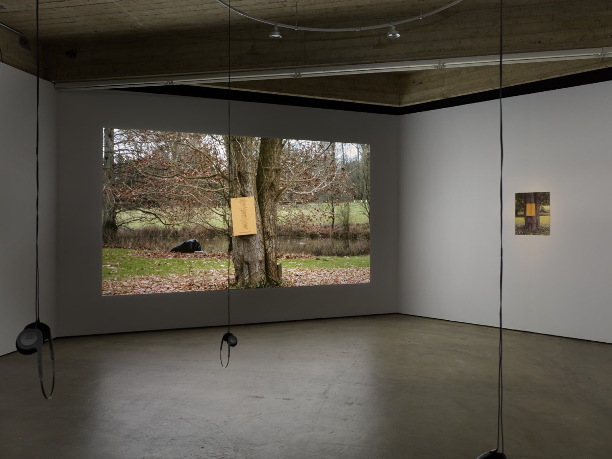Birdcalls by Louise Lawler, 1972-81 filmed in the Botanical Gardens in Meise, 2022 - Exhibition View Cc Strombeek, 2022